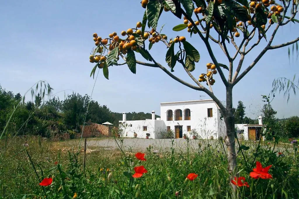 Holiday Villa Casa Calma Ibiza San Rafael De Sa Creu