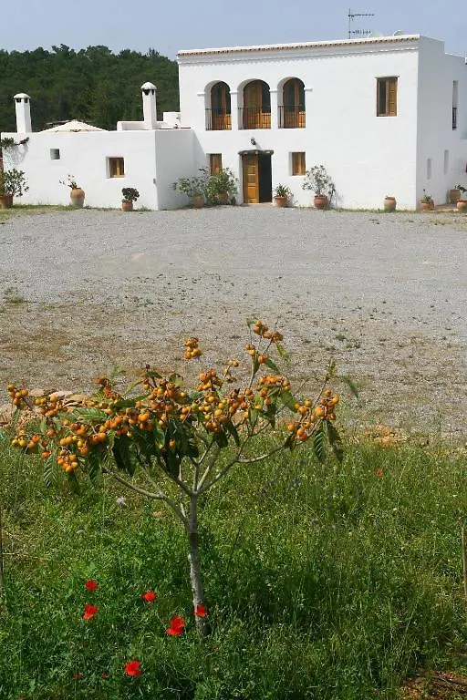Holiday Villa Casa Calma Ibiza San Rafael De Sa Creu Spain
